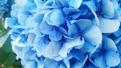 Aluminiumsulfat til Blå Hortensia 3 kg