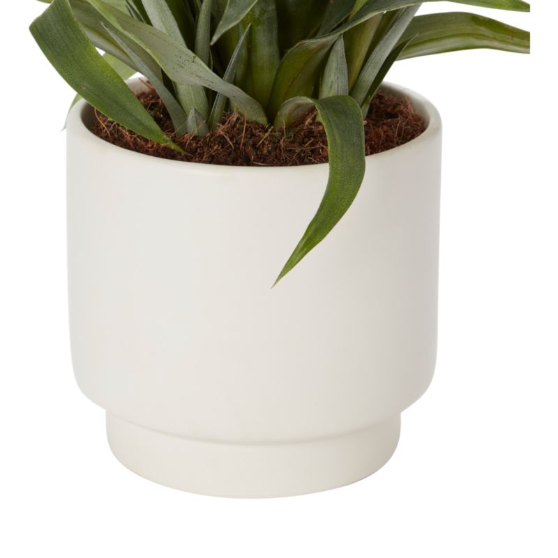 Ananas i keramisk potte 12 cm