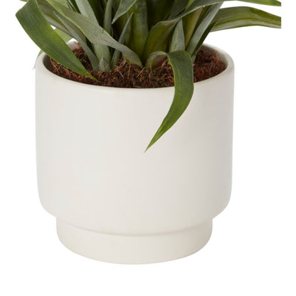 Ananas i keramisk potte 12 cm