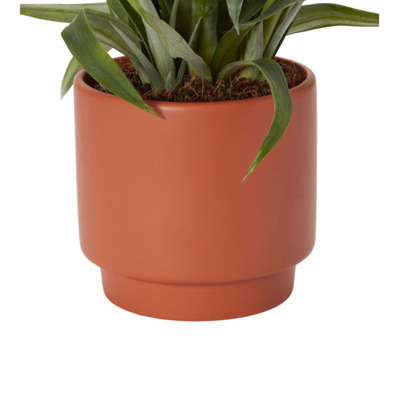 Ananas i keramisk potte 12 cm