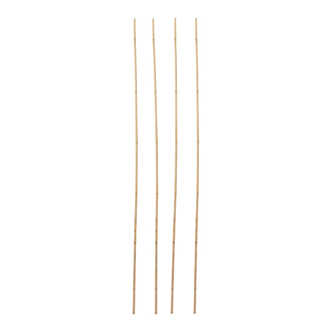 Bambusstok 240 cm Natur