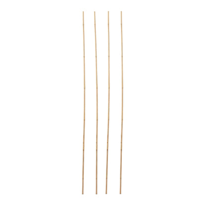Bambusstok 240 cm Natur