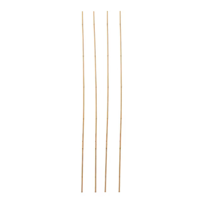 Bambusstok 240 cm Natur
