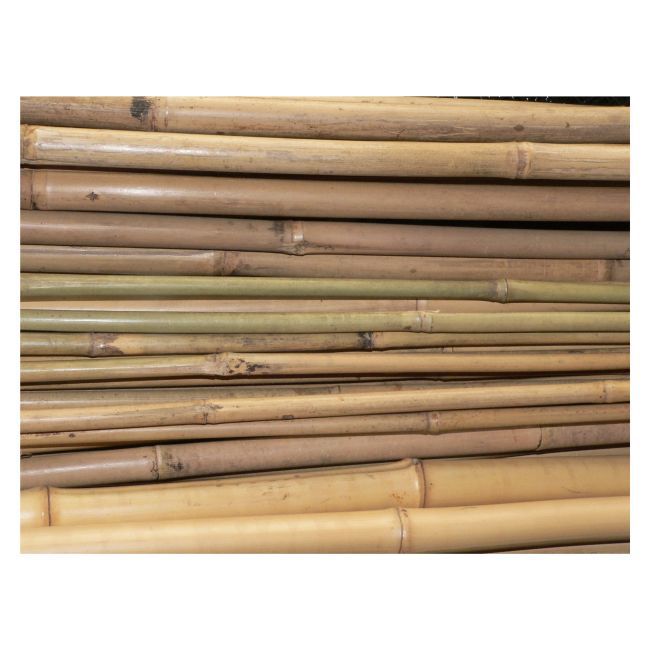 Bambusstok 60 cm Ø6-8 mm Natur