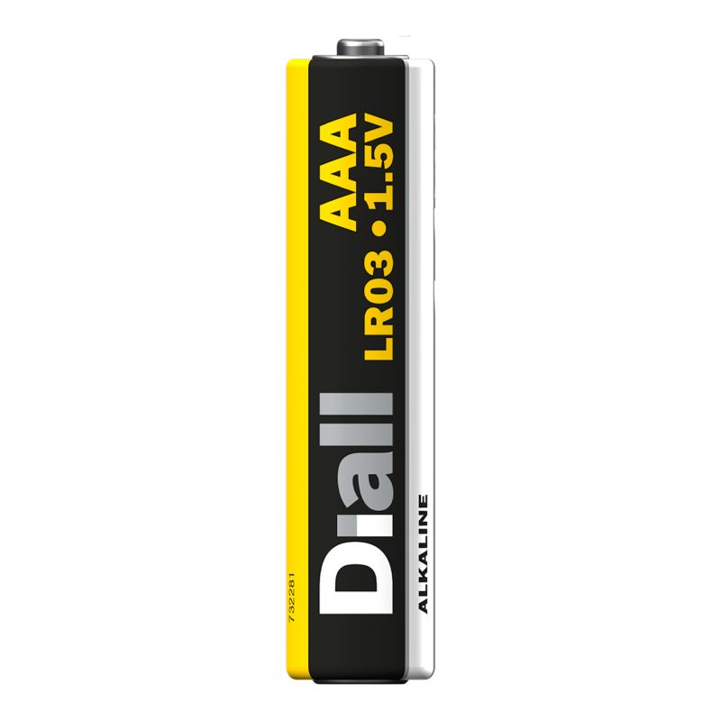 AAA-batterier Diall Big Box 24 stk.