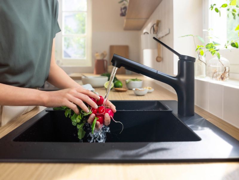 Hansgrohe Zesis 150 2J køkkenarmatur i mat-sort