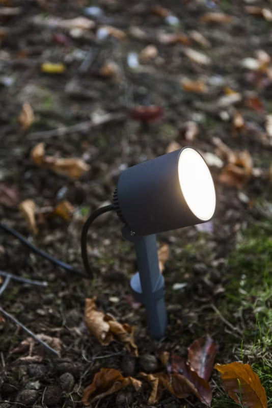 Bedlampe Spyd Explorer LED 41,7x9,2 cm Antracit IP54