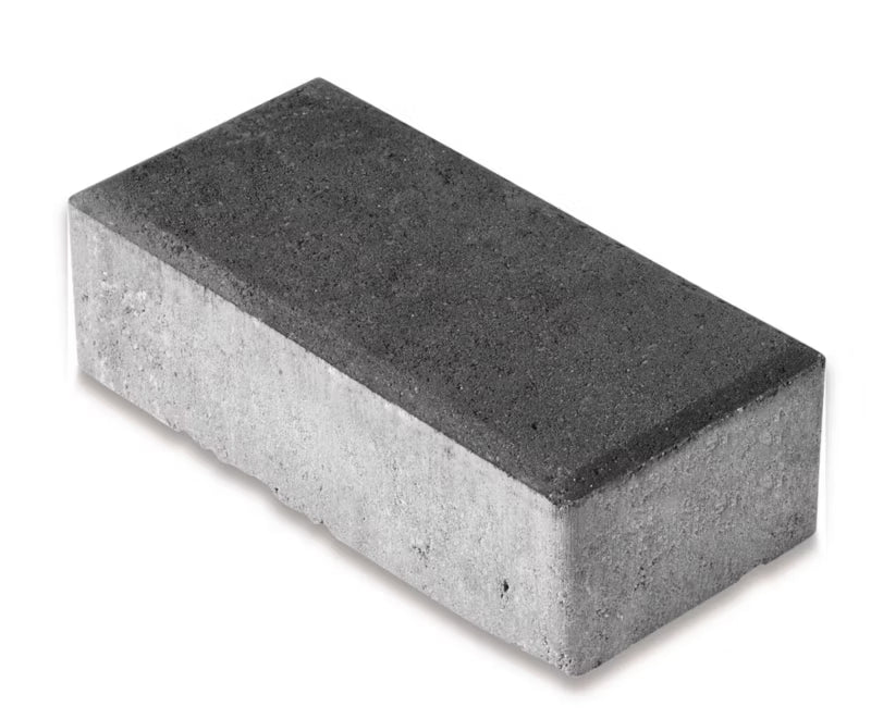 Belægningssten Rektangulær 10x20x4 cm Grafit