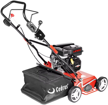 Benzindrevet Vertikalskærer 40 cm 6 HK WR02 R Rød