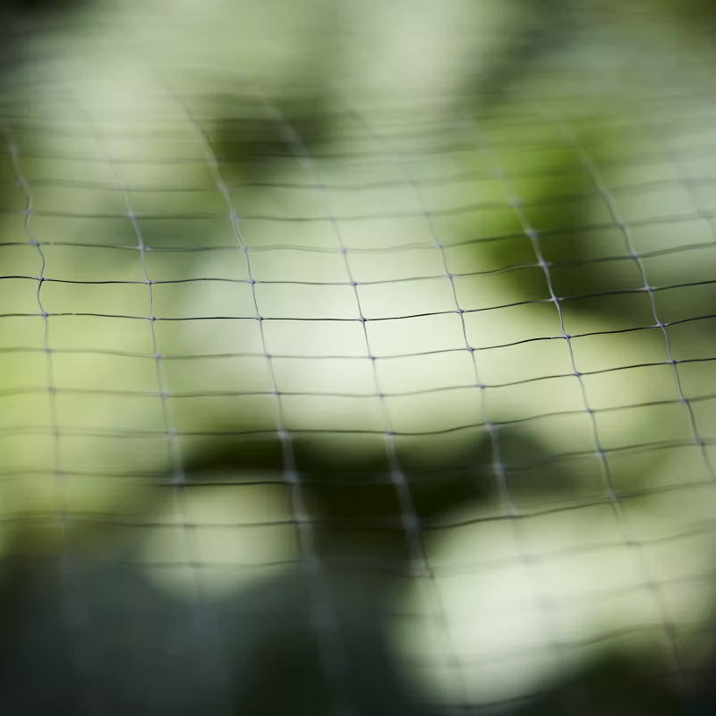 Beskyttelsesnet 2x4 m Sort