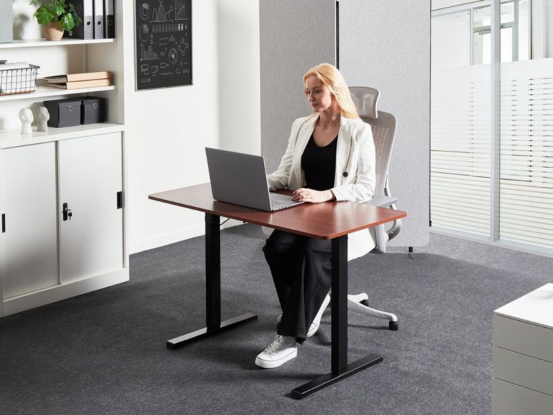 https://media2.castorama.pl/is/image/CastoramaPL/biurko-regulowane-elektrycznie-120-x-60-cm-czarne-z-ciemnobr-zowym-tavares-1-szt-~4069605016676_02c_MP?$MOB_PREV$&$width=2400&$height=2400