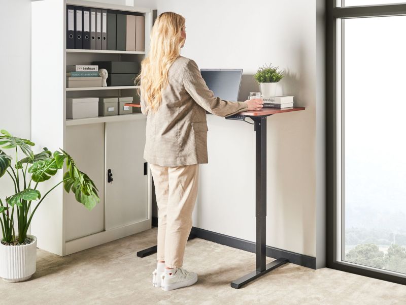 https://media2.castorama.pl/is/image/CastoramaPL/biurko-regulowane-elektrycznie-120-x-60-cm-czarne-z-ciemnobr-zowym-tavares-1-szt-~4069605016676_08c_MP?$MOB_PREV$&$width=2400&$height=2400