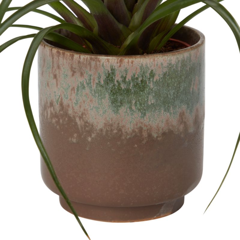 Bromelia-mix i keramik 9 cm