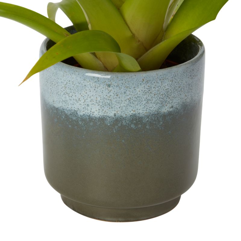 Bromelia-mix i keramik 9 cm
