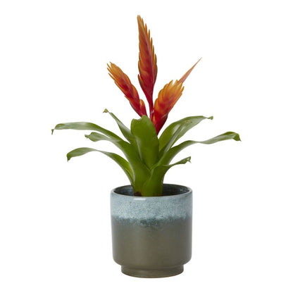 Bromelia-mix i keramik 9 cm