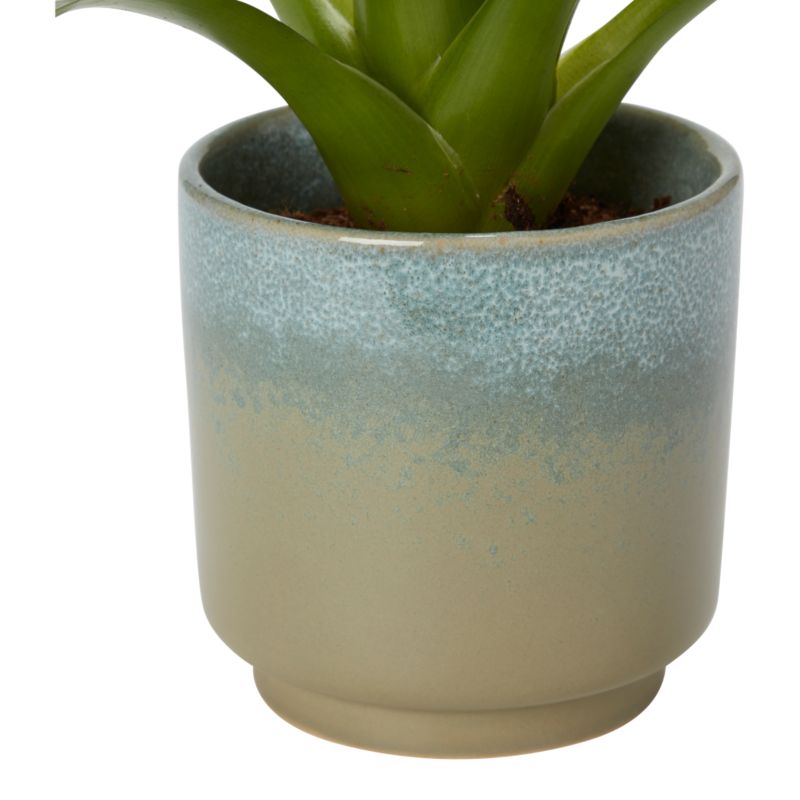 Bromelia-mix i keramik 9 cm