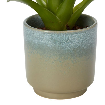 Bromelia-mix i keramik 9 cm