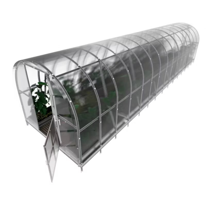 Bue Drivhus 3x12 m 6 mm Polycarbonat 36 m²
