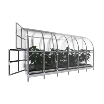 Bue Drivhus 3x4 m 12 m² 6 mm Polycarbonat