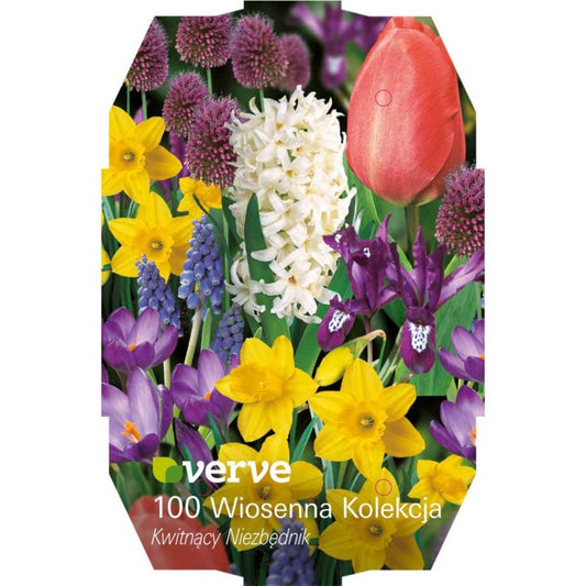 Forårsløg mix Verve Essential 100 stk.