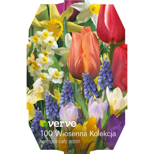 Forårsløg mix Verve kollektion 100 stk.