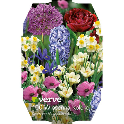 Forårsløg mix Verve Surprise 100 stk.