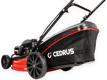 https://media2.castorama.pl/is/image/CastoramaPL/cedrus-ks53s-h-honda-kosiarka-spalinowa-do-trawy-z-nap-dem-honda-gcv200-5w1-53cm-5-6-km-1szt-~5903228183034_06c_MP?$MOB_PREV$&$width=600&$height=600