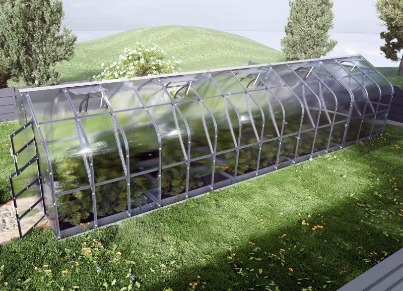 Drivhus 2,5x12 m 6 mm Polycarbonat 30 m²