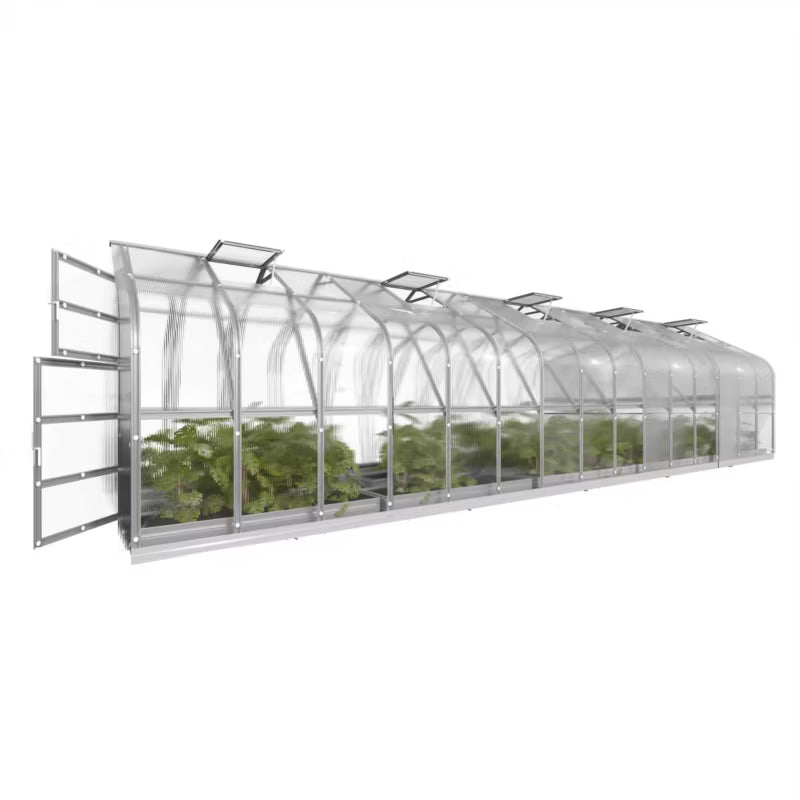 Drivhus 2,5x12 m 6 mm Polycarbonat 30 m²