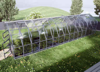 Drivhus 2,5x12 m 6 mm Polycarbonat 30 m²