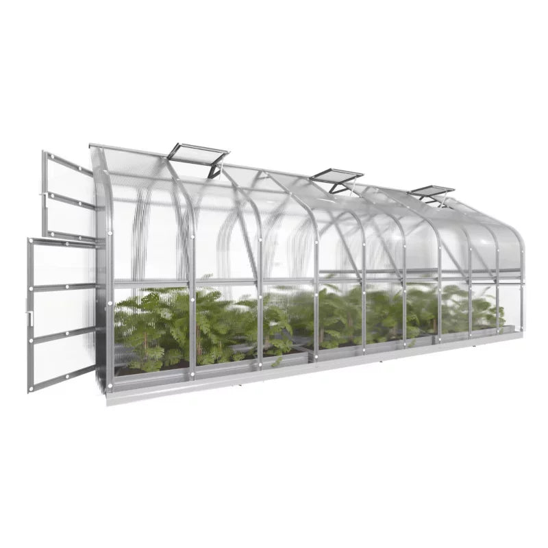 Drivhus 2,5x6 m 15 m² 6 mm Polycarbonat