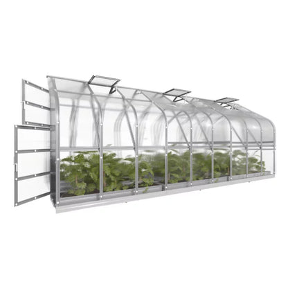 Drivhus 2,5x6 m 15 m² 6 mm Polycarbonat