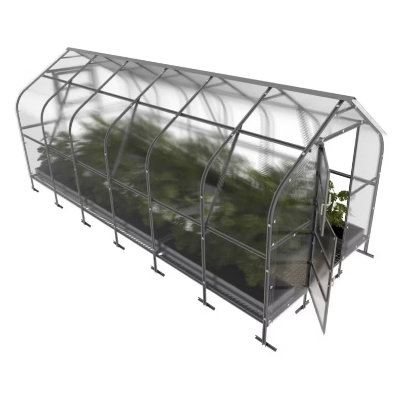 Drivhus 2,5x6 m 6 mm Polycarbonat 15 m²