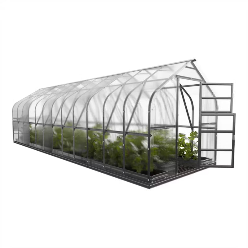 Drivhus 2,5x8 m 20 m² 4 mm Polycarbonat