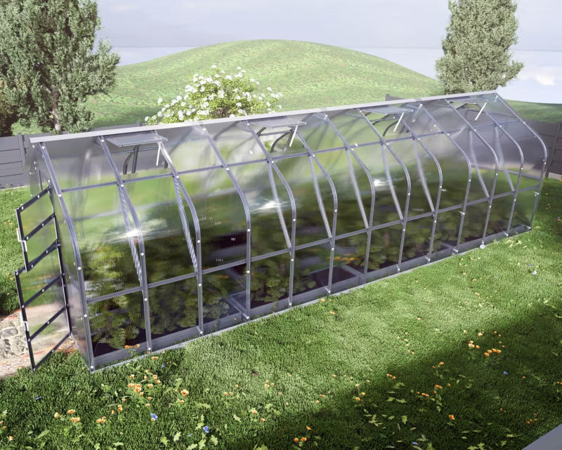 Drivhus 2,5x8 m 20 m² 4 mm Polycarbonat