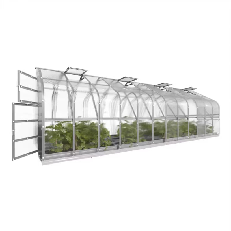 Drivhus 2,5x8 m 20 m² 4 mm Polycarbonat