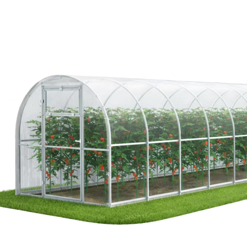 Drivhus 240x800 cm 19,2 m² Polycarbonat 6 mm