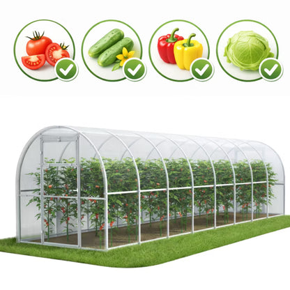 Drivhus 240x800 cm 19,2 m² Polycarbonat 6 mm