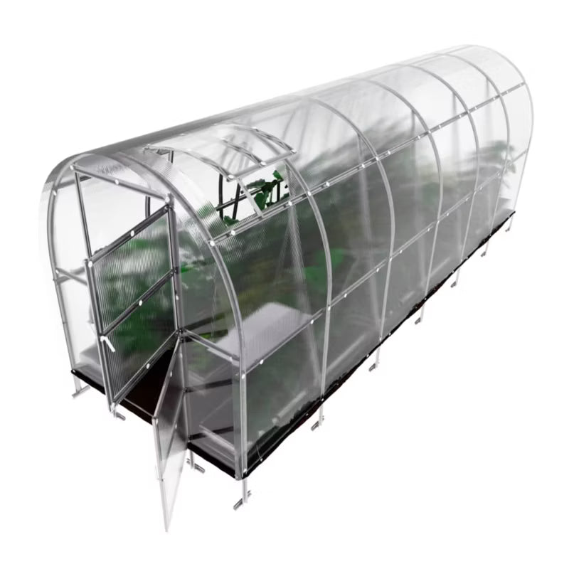 Drivhus 2x6 m 12 m² Galvaniseret Stål 4 mm Polikarbonat