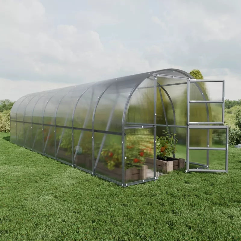 Drivhus 3x8 m 24 m² 6 mm Polycarbonat