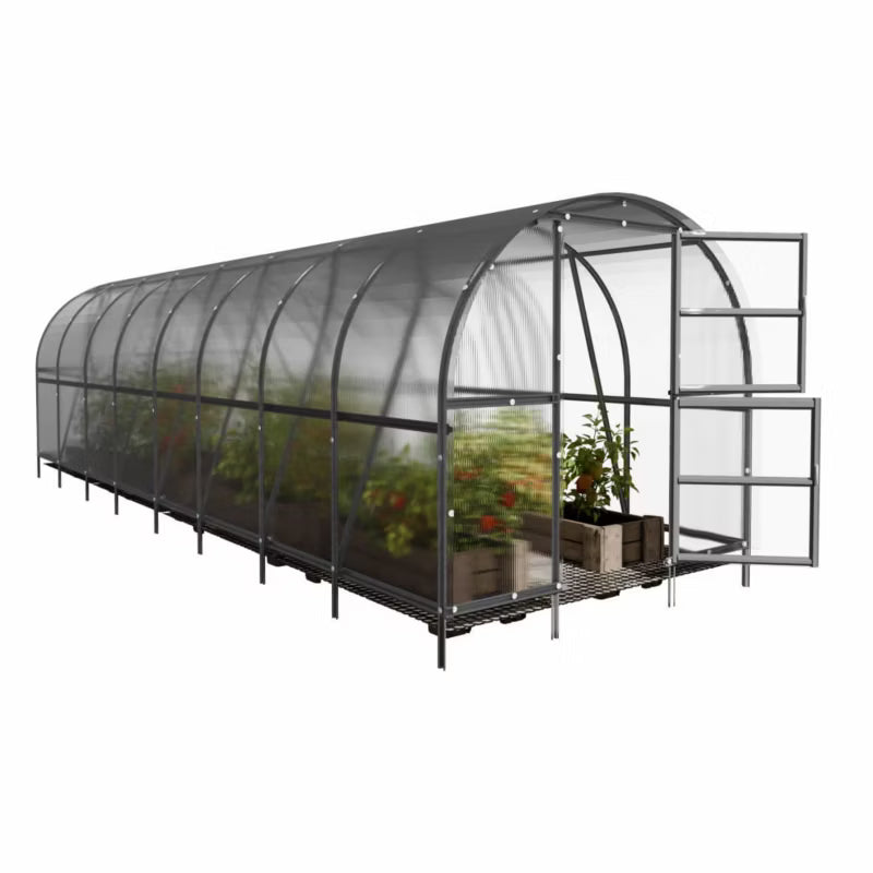 Drivhus 3x8 m 24 m² 6 mm Polycarbonat