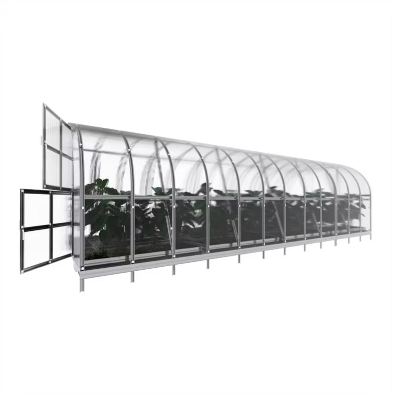 Drivhus 3x8 m Polycarbonat 4 mm 24 m²
