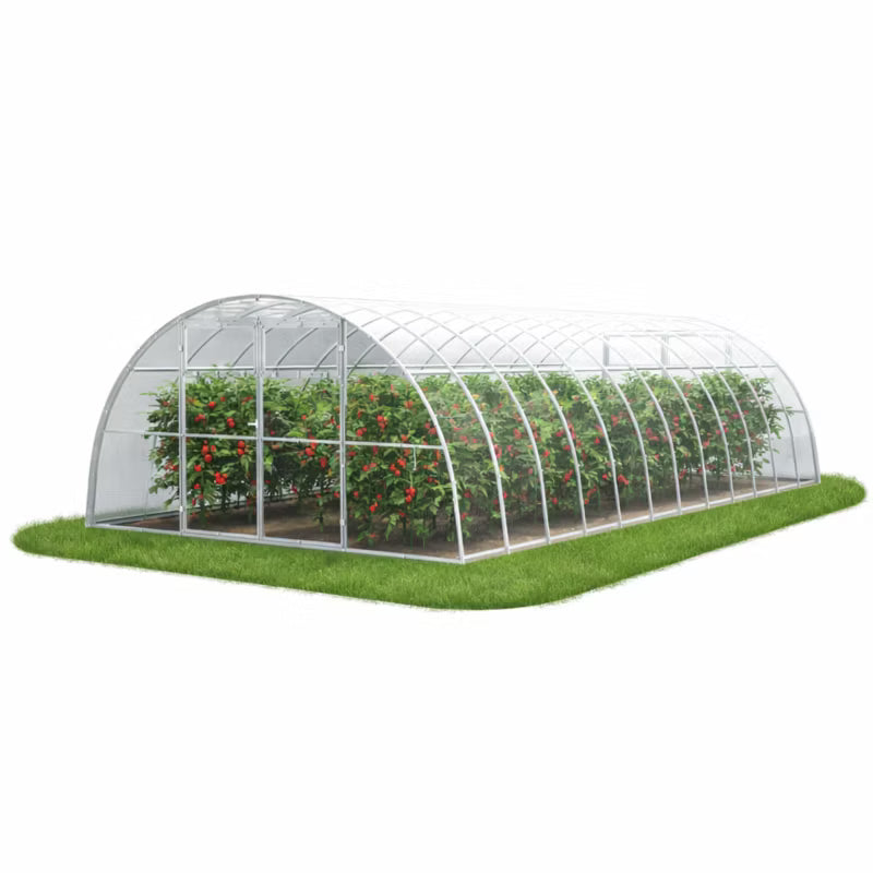 Drivhus 400x800 cm Polycarbonat 32 m²