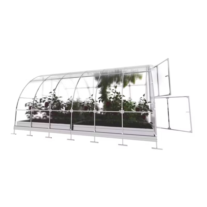 Drivhus Bue 3x4 m Polycarbonat 12 m²