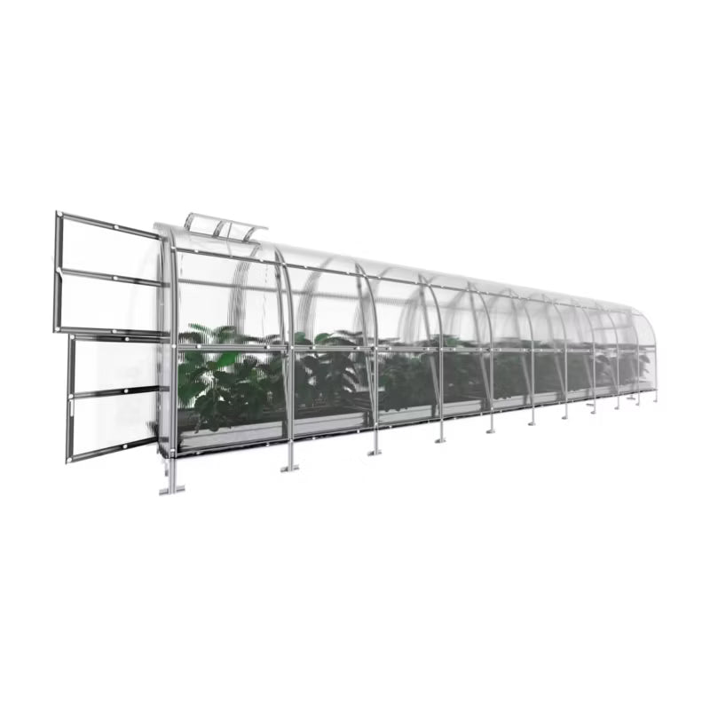 Drivhus Buede 2x12 m 24 m² 4 mm Polycarbonat