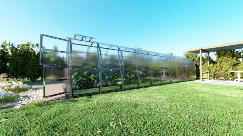 Drivhus Buede 2x12 m 24 m² 4 mm Polycarbonat