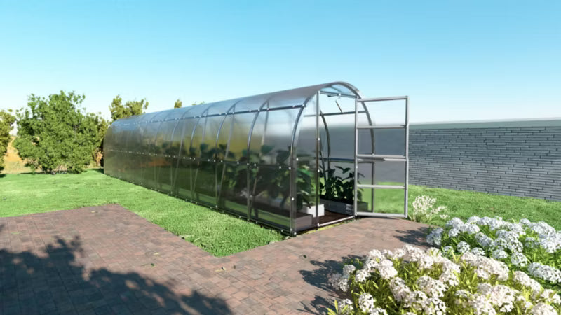 Drivhus Buede 2x12 m 24 m² 4 mm Polycarbonat