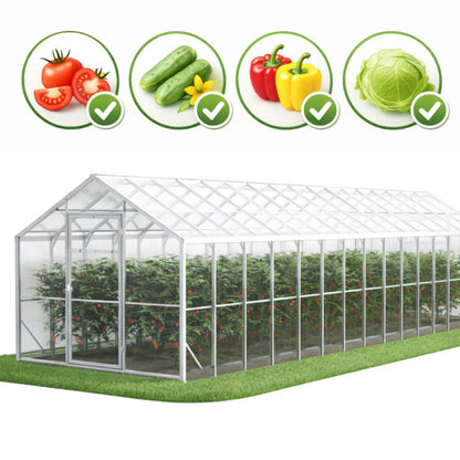Drivhus Domek 250x1000 cm Polycarbonat 25 m²