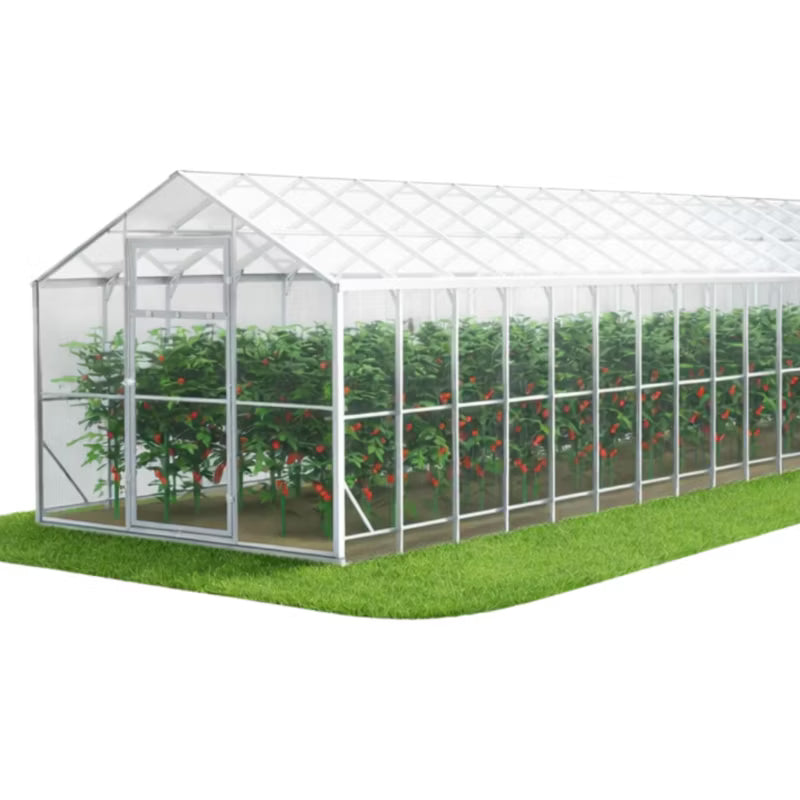 Drivhus Domek 250x1200 cm Transparent 5 mm