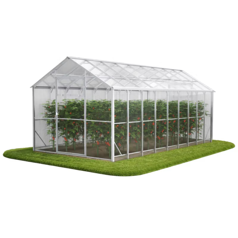 Drivhus Domek 250x600x230 cm 6 mm Polycarbonat